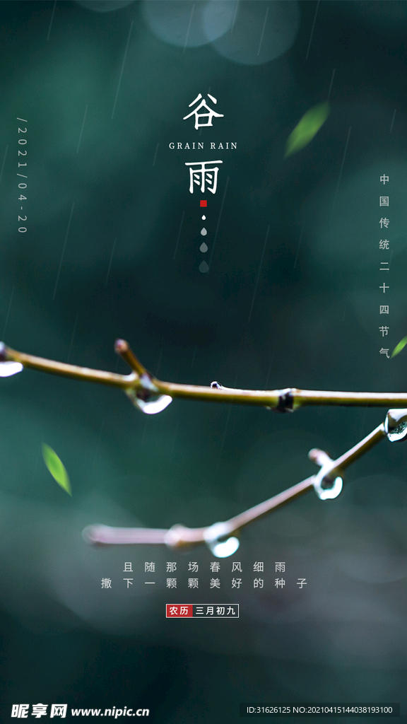 谷雨