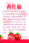 西红柿简介