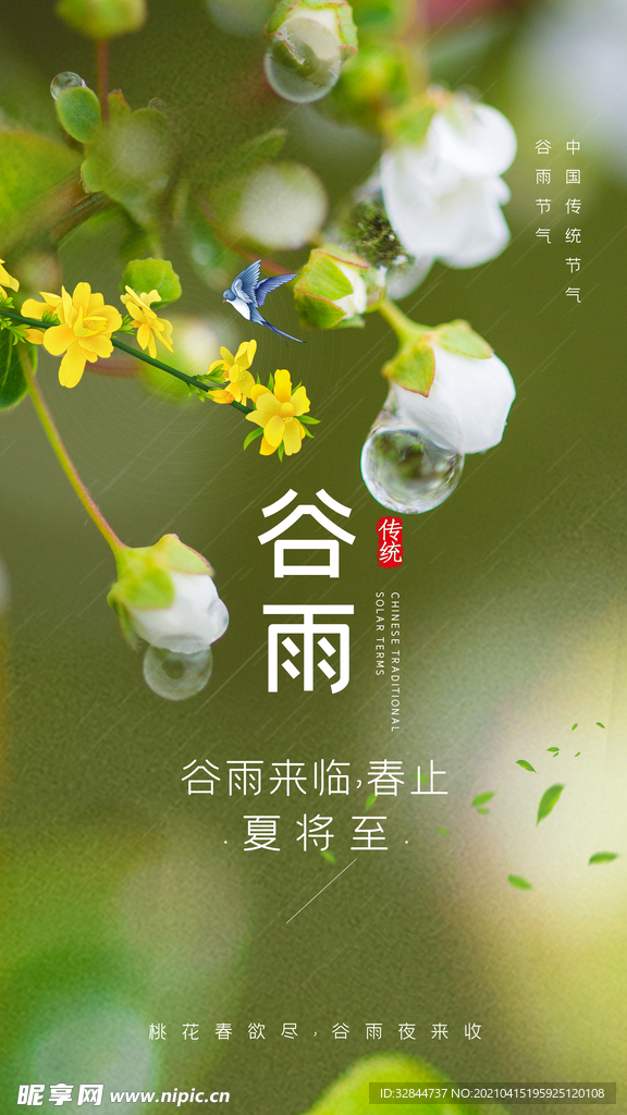 谷雨节气海报