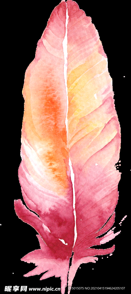 水彩手绘羽毛粉色抽象素材
