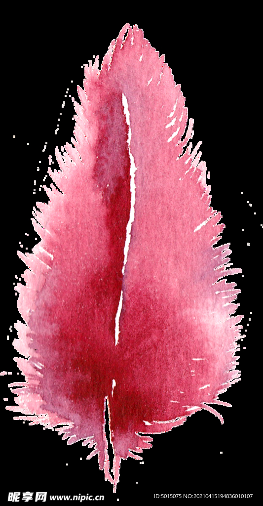 梦幻渐变色水彩手绘羽毛透明素材