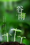 谷雨