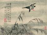 边寿民 芦雁图十开