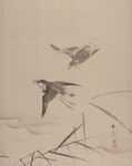 花鸟册页