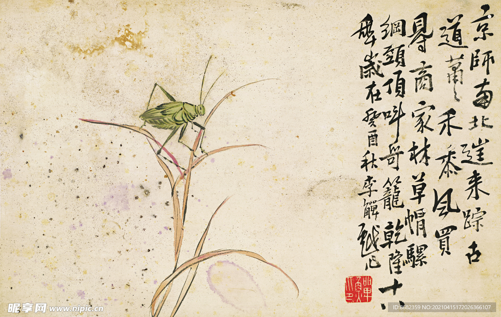 李角单花鸟十二开