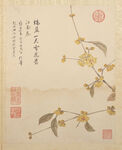 临蒋廷锡花卉图册