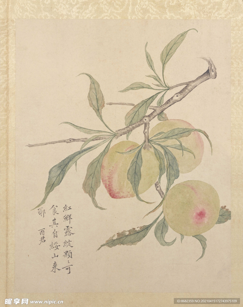 临蒋廷锡花卉图册