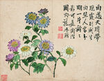 李鱓花鸟十开