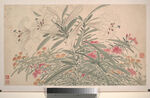 明 陈淳 花卉图