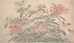 明 陈淳 花卉图