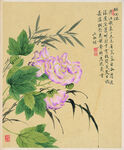 清 邹一桂 花卉八开