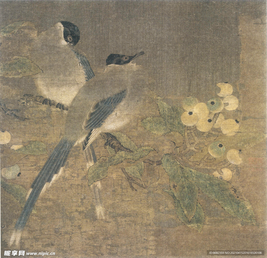 宋 山鹊枇杷图