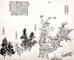 王概 芥子园画谱
