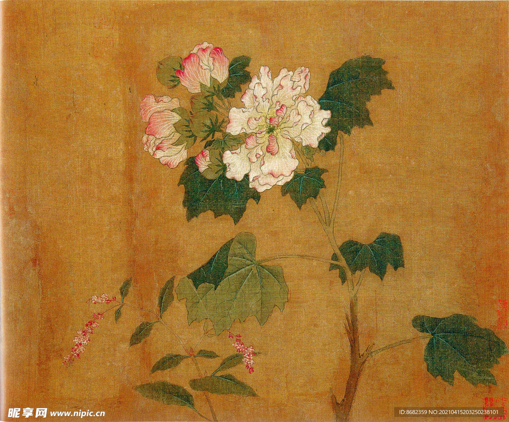 五代 黄居寀 花卉写生