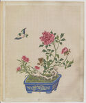 盆景花鸟图册