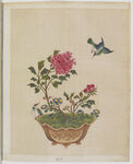 盆景花鸟图册