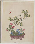 盆景花鸟图册