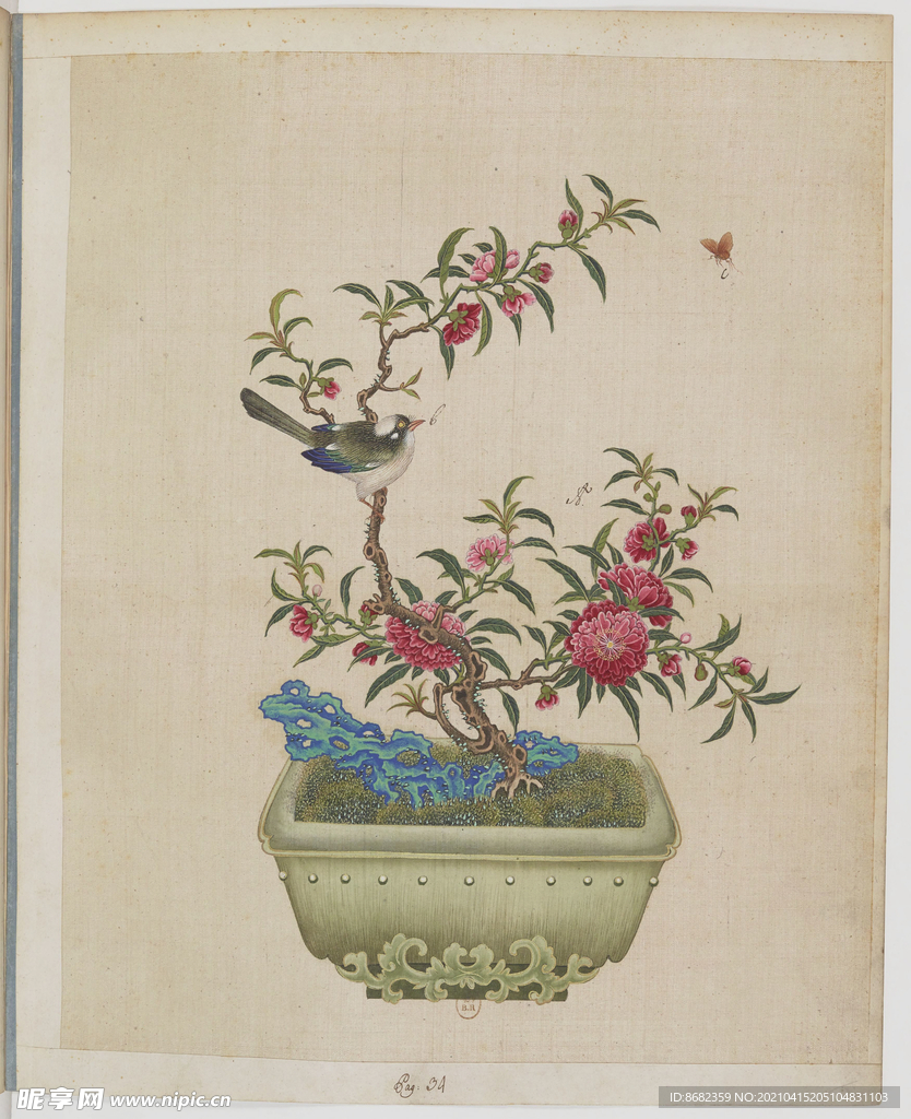 盆景花鸟图册