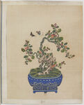 盆景花鸟图册