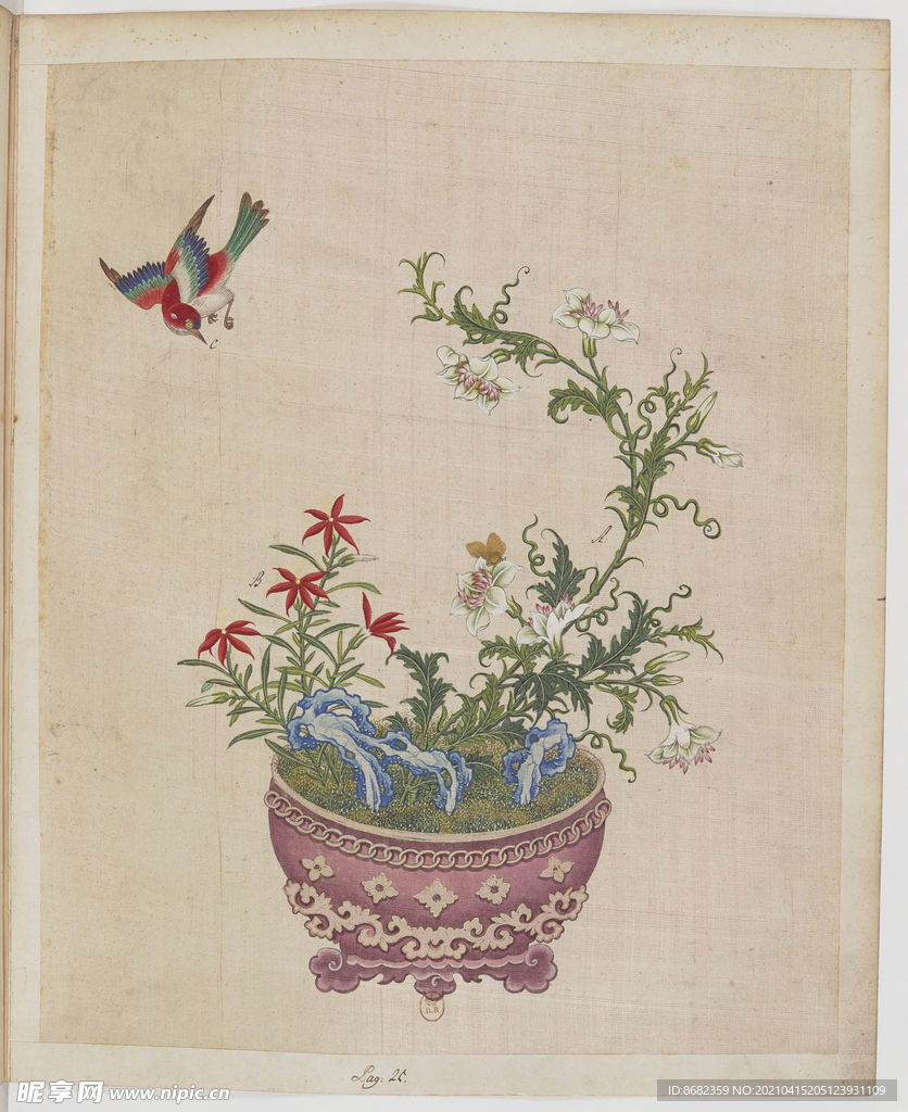 盆景花鸟图册