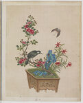 盆景花鸟图册