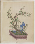盆景花鸟图册