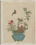 盆景花鸟图册