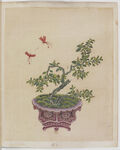 盆景花鸟图册