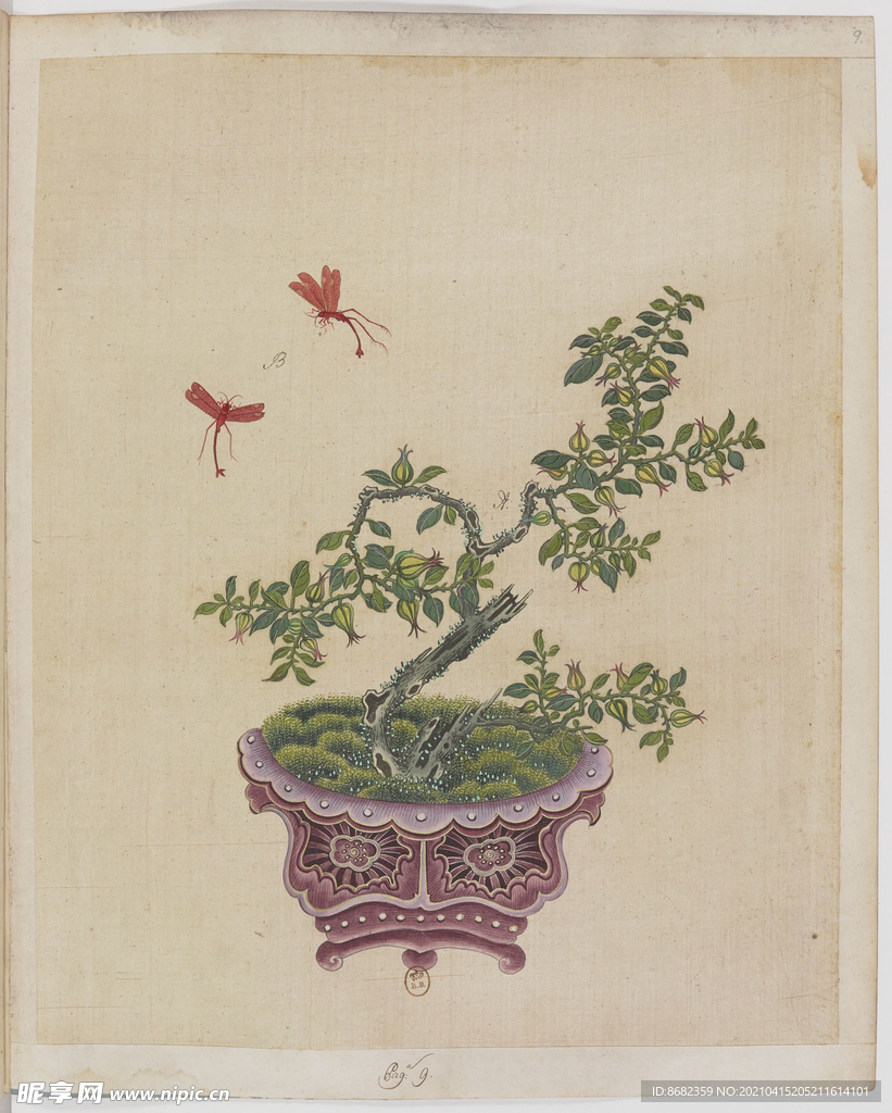 盆景花鸟图册