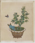 盆景花鸟图册
