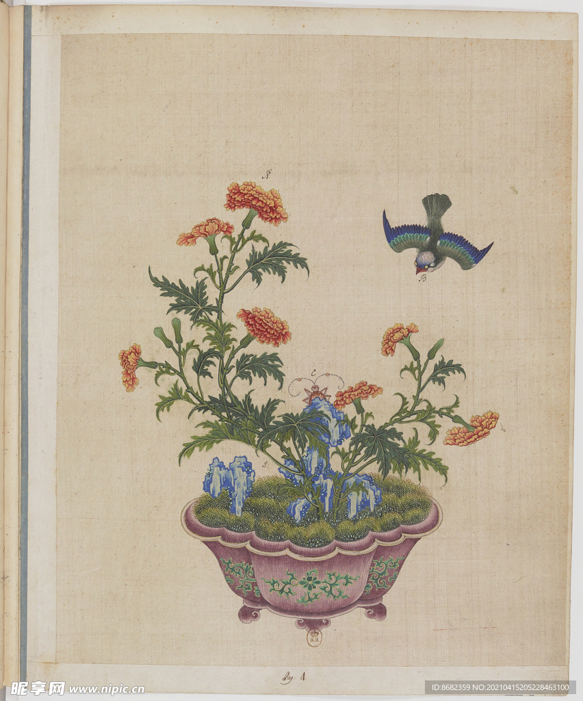 盆景花鸟图册