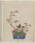 盆景花鸟图册