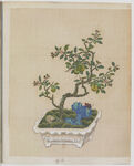 盆景花鸟图册