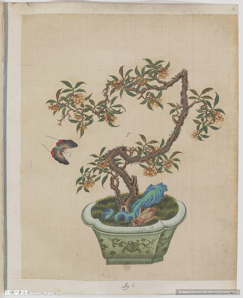 盆景花鸟图册