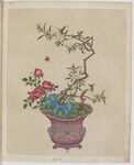 盆景花鸟图册