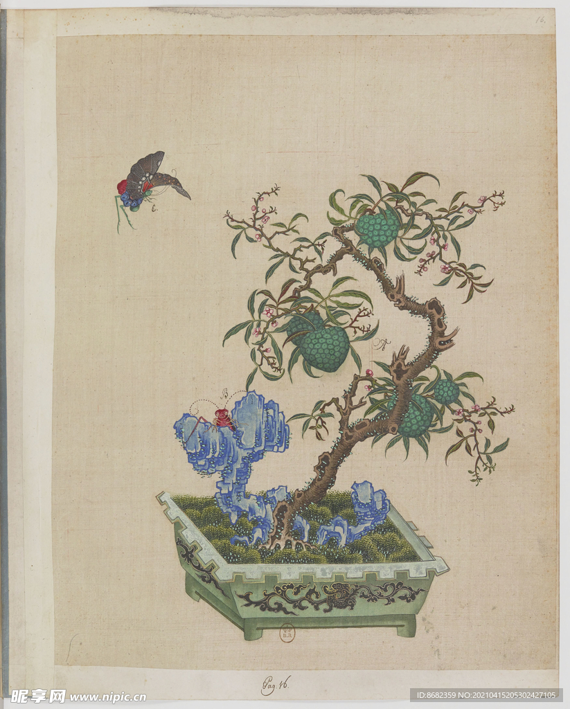 盆景花鸟图册
