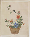 盆景花鸟图册