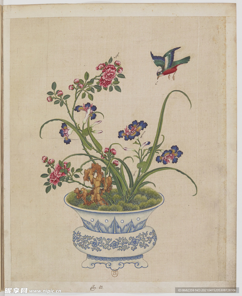 盆景花鸟图册