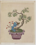 盆景花鸟图册