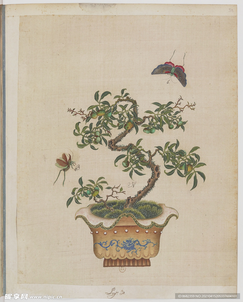 盆景花鸟图册