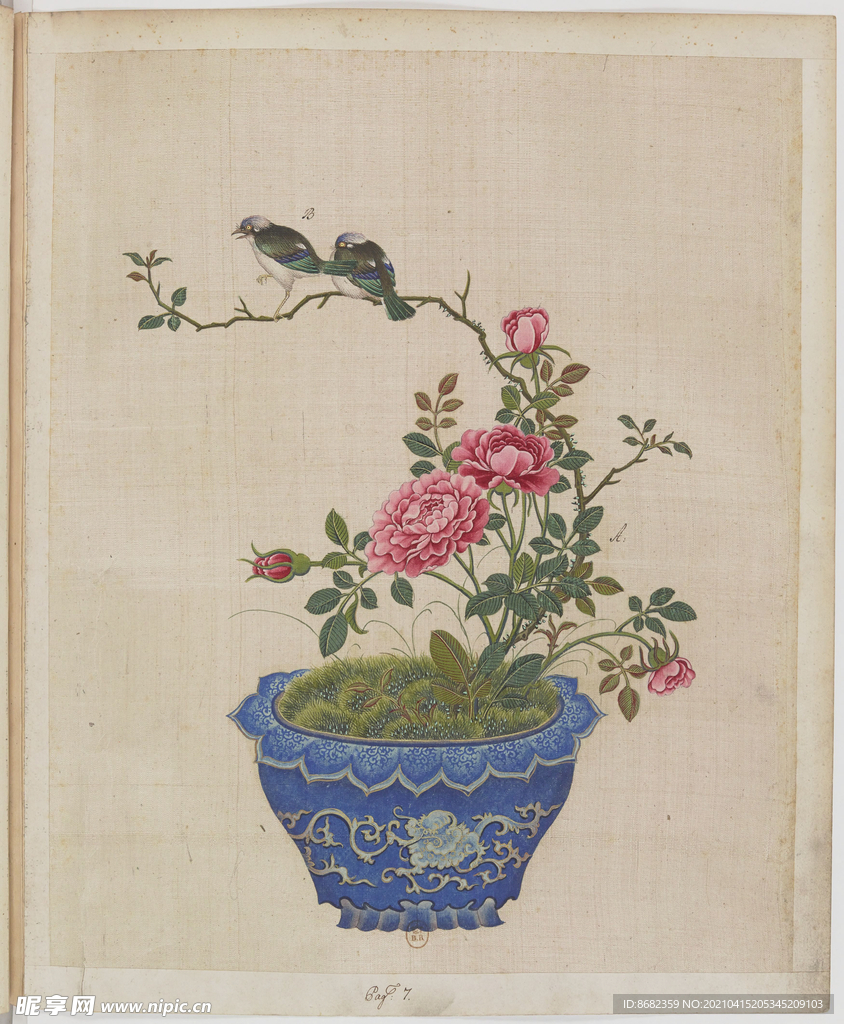 盆景花鸟图册