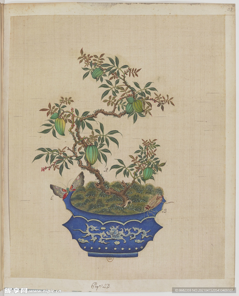 盆景花鸟图册