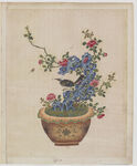 盆景花鸟图册