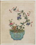 盆景花鸟图册
