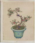 盆景花鸟图册