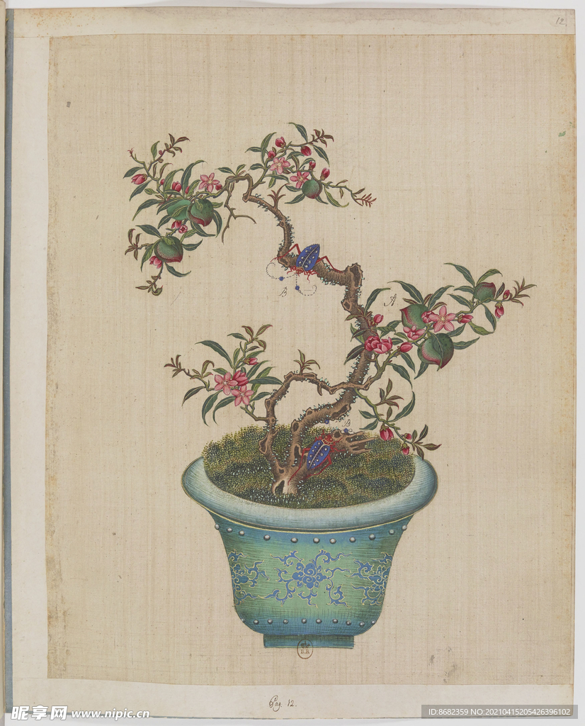 盆景花鸟图册