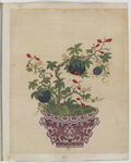 盆景花鸟图册