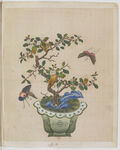 盆景花鸟图册