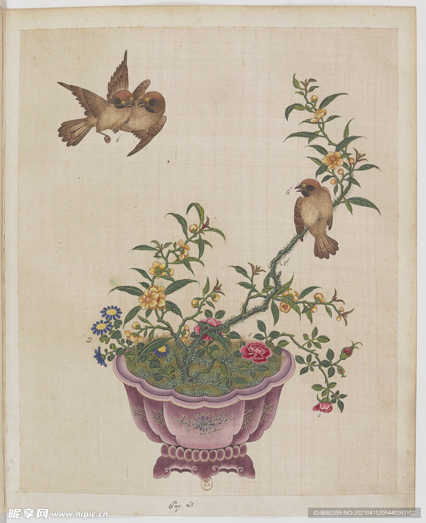 盆景花鸟图册