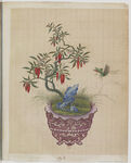 盆景花鸟图册